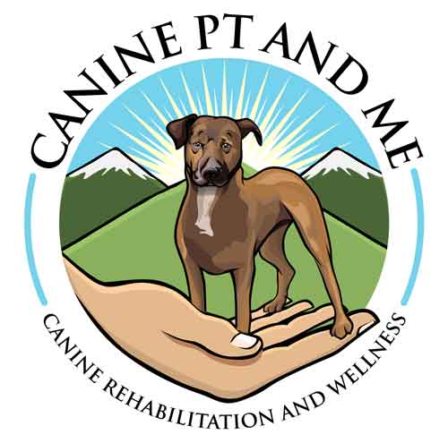 Canine PT and Me