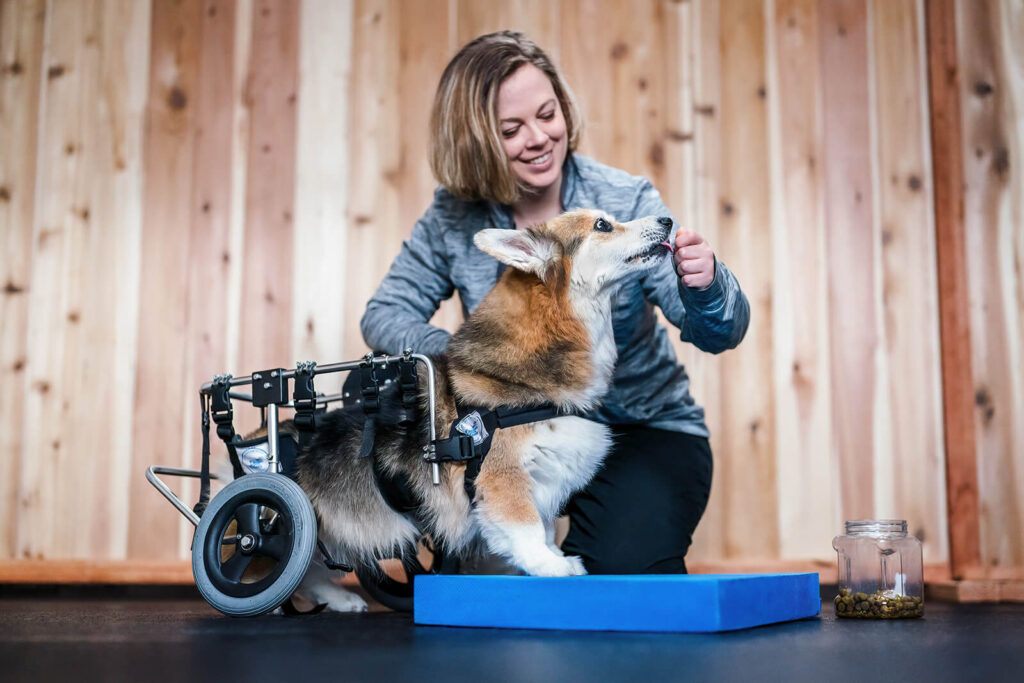 Canine PT and Me